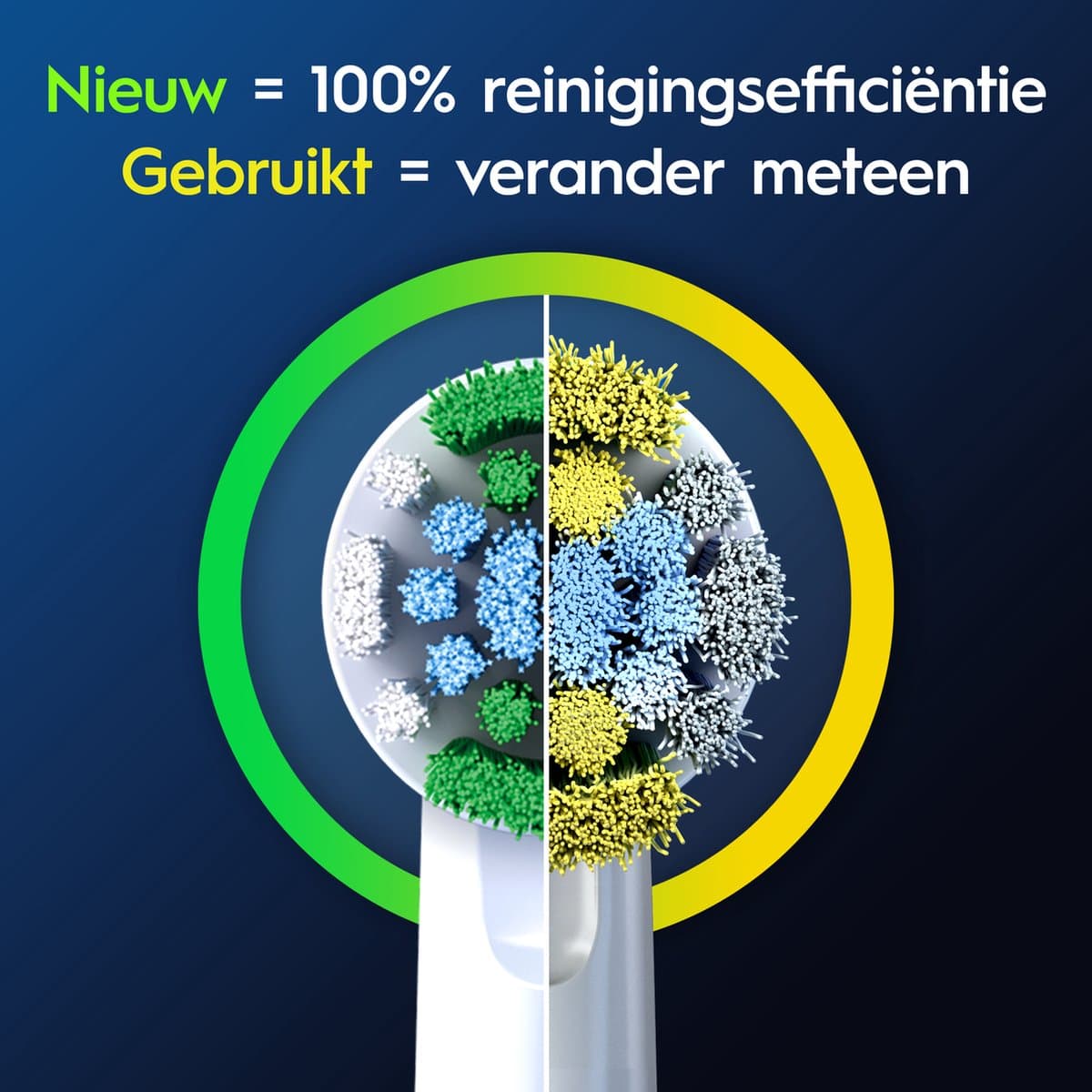 Oral-B Precision Clean Pro - CleanMaximiser thumbnail 8