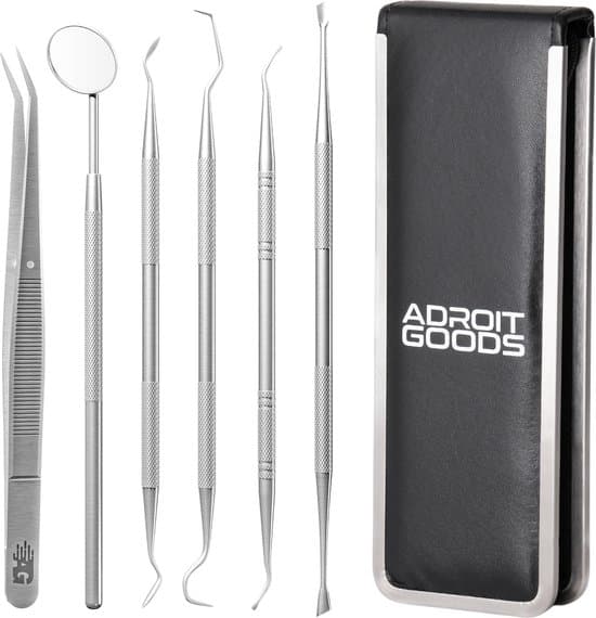 AdroitGoods 7 delige RVS Tandarts Setje - Incl Haakje en Spiegel - Tandenstokers - Tandplak - Gebit Verzorging Setje
