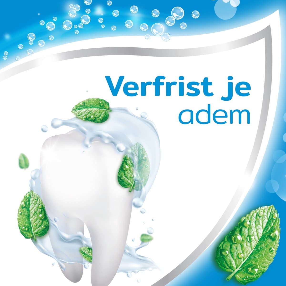 Aquafresh White & Shine 5x75ml thumbnail 4