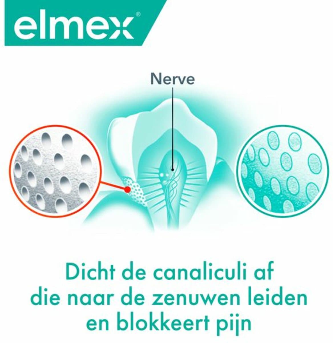 Elmex Sensitive Professional 6x75ml Voordeelpak thumbnail 5