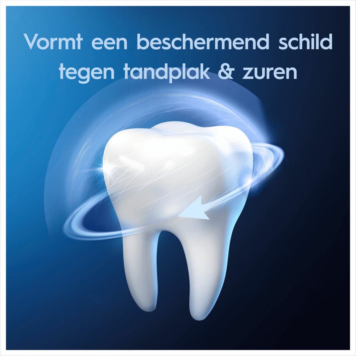 Oral-B Pro-Expert 24u Bescherming 12x75ml thumbnail 3