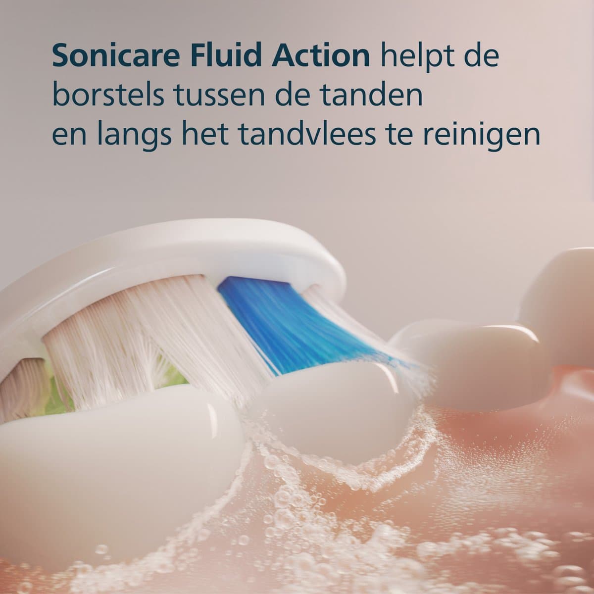 Philips Sonicare Optimal White Zwart thumbnail 3
