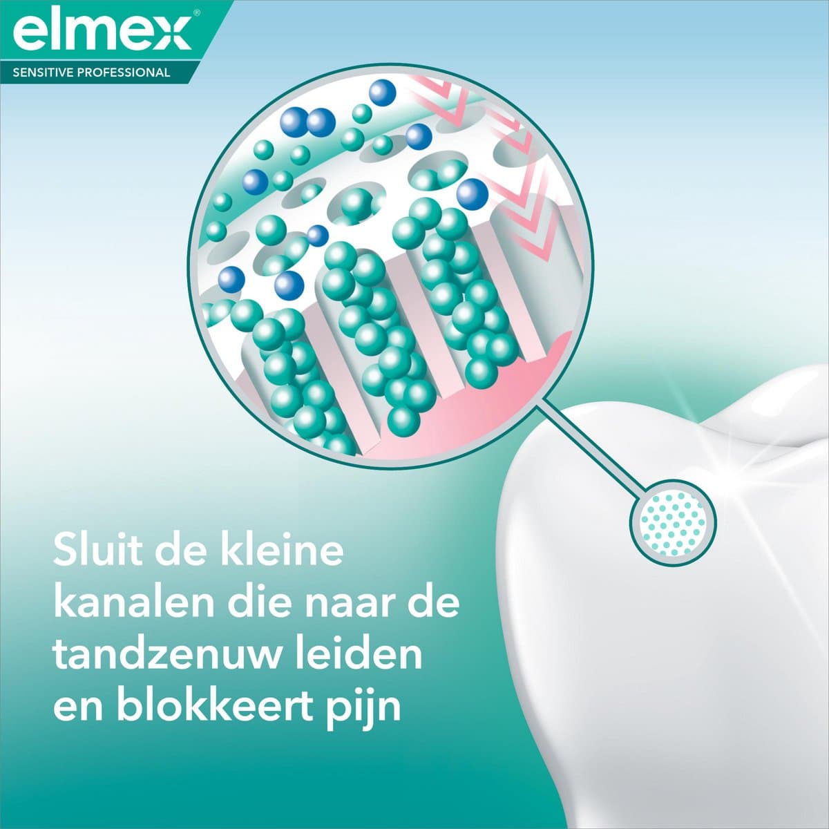 Elmex Sensitive Whitening Tandpasta 4x75ml thumbnail 3