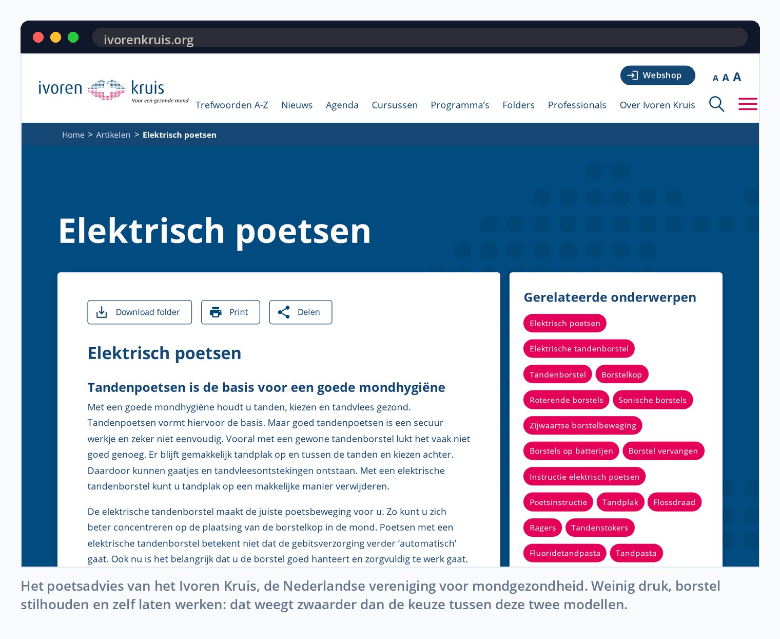 Het poetsadvies van het Ivoren Kruis, de Nederlandse vereniging voor mondgezondheid. Weinig druk, borstel stilhouden en zelf laten werken: dat weegt zwaarder dan de keuze tussen deze twee modellen.