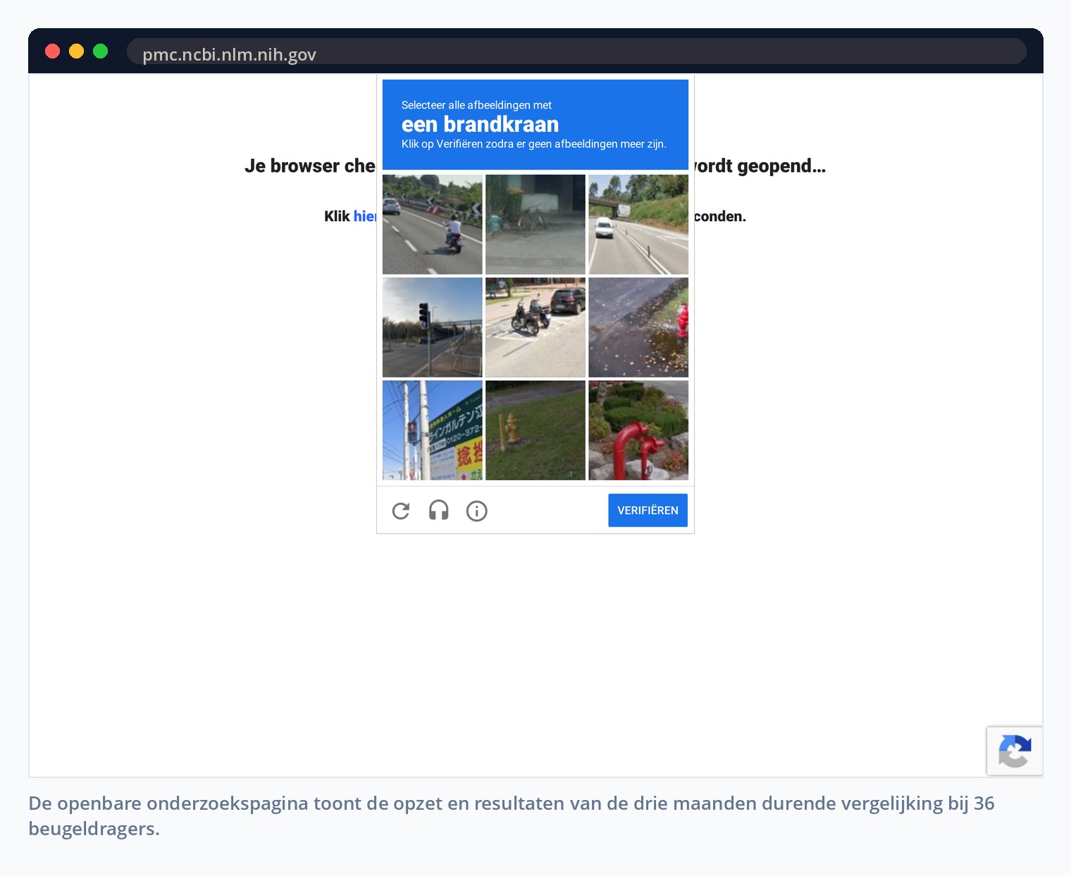 De openbare onderzoekspagina toont de opzet en resultaten van de drie maanden durende vergelijking bij 36 beugeldragers.