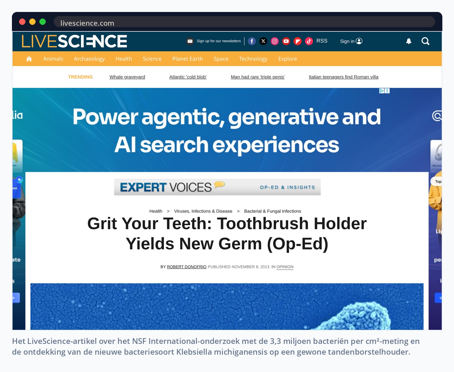 Het LiveScience-artikel over het NSF International-onderzoek met de 3,3 miljoen bacteriën per cm²-meting en de ontdekking van de nieuwe bacteriesoort Klebsiella michiganensis op een gewone tandenborstelhouder.