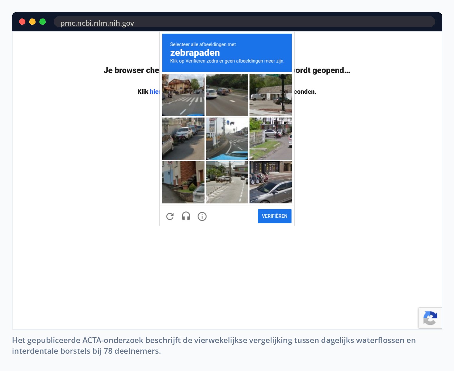 Het gepubliceerde ACTA-onderzoek beschrijft de vierwekelijkse vergelijking tussen dagelijks waterflossen en interdentale borstels bij 78 deelnemers.